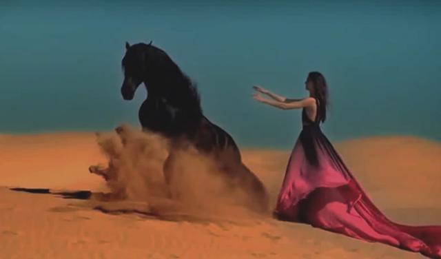 九游体育-【伯辣图】旅馆里的过客，谁不是外围？